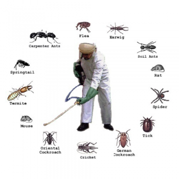 Best Pest Control Canberra