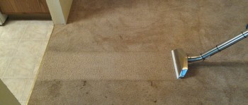Carpet Cleaning Mooloolaba
