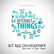 IoT app development services in your tow