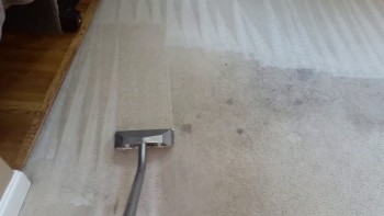 Carpet Cleaning Kogarah
