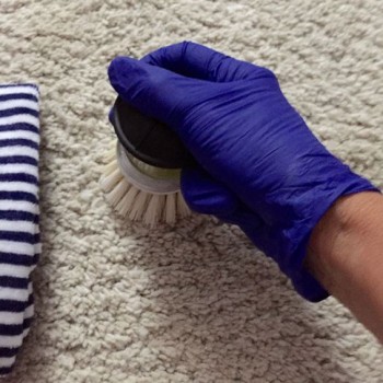 Get Affordable and Cheap Carpet Cleaning Services in Box Hill, Melbourne