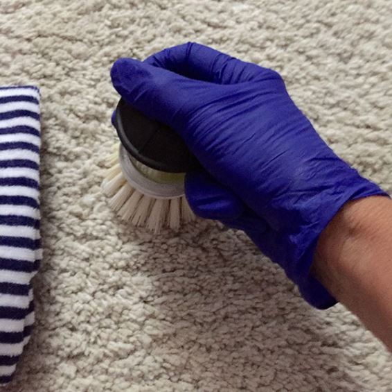 Get Affordable and Cheap Carpet Cleaning Services in Box Hill, Melbourne