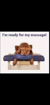 Full Body Male Sports Massage