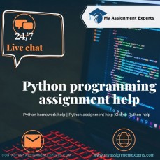 Python Programming Assignment Help by IT Experts 