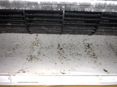 Cleaning Business for sale