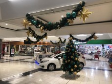 Rental Business for sale 