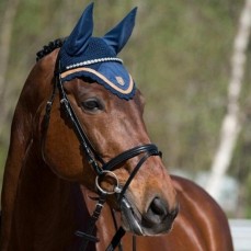 Pet Services Business for sale 