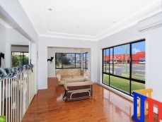 Pet Services Business