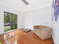 Pet Services Business