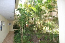 vManagement Rights for sale