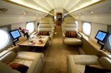 Professional Business for sale