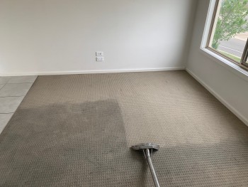 Carpet Cleaning Highfields