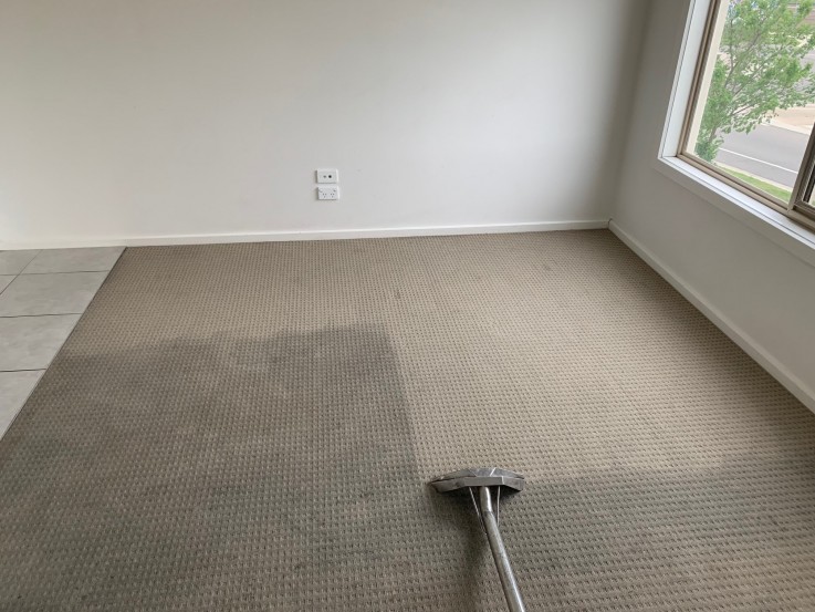 Carpet Cleaning Highfields