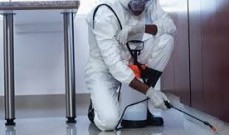 Pest control Glenvale