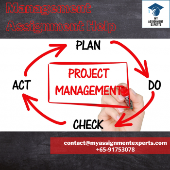 Management Assignment Help | My Assignment Experts