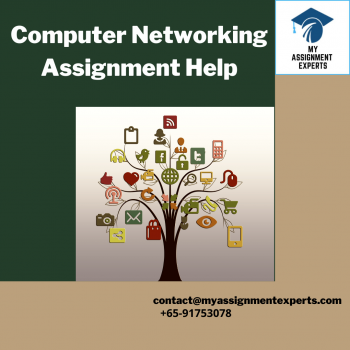  Computer Network Assignment Help - My Assignment Experts