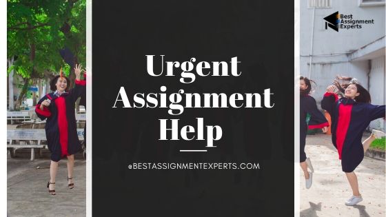 Urgent Assignment Help |Quick Assignment help