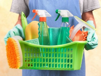 Domo Cleaning Service 