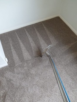 Carpet Cleaning Cammeray