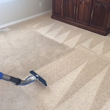 Carpet Cleaning Cammeray