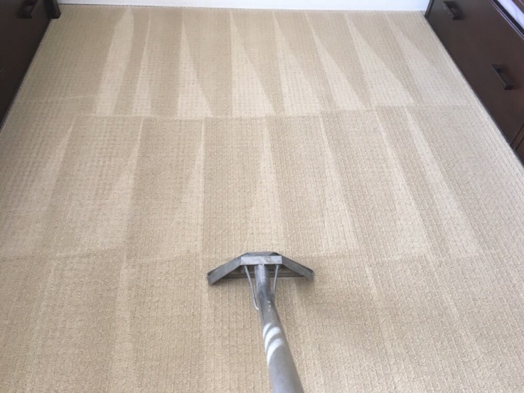 Carpet Cleaning Cammeray