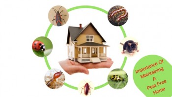 Pest Control Upwey