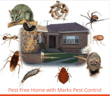 Pest Control Upwey