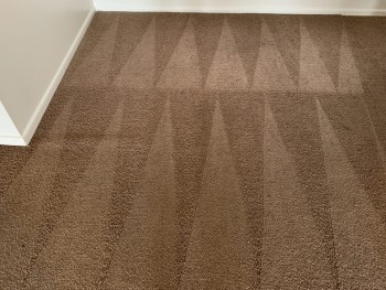 Carpet Cleaning Moorooka