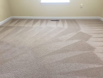 Carpet Cleaning Moorooka