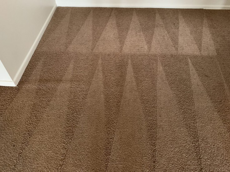 Carpet Cleaning Moorooka