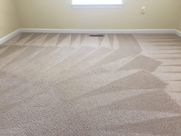 Carpet Cleaning Moorooka