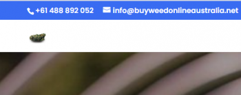 Buy Weed Online Australia