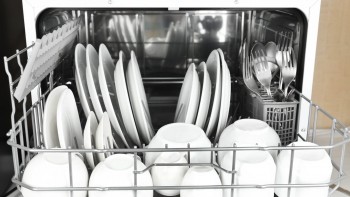 Dishwasher Repairs Blacktown