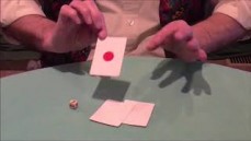 Magic Tricks - Nothing Over $5