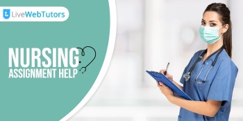 online Nursing Assignment help