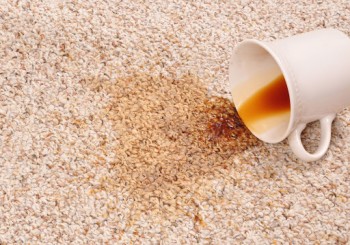 Carpet Cleaning Eagleby