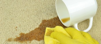 Carpet Cleaning Eagleby