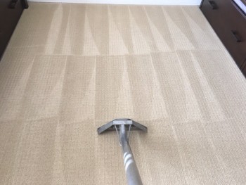Carpet Cleaning Woollahra