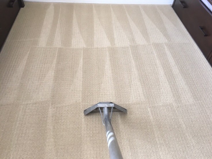 Carpet Cleaning Woollahra