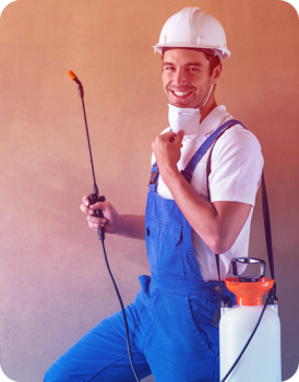 Eliminate Fleas With The Help Of Fleas Control Adelaide?