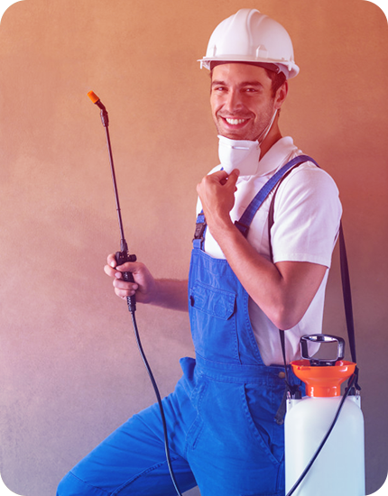 Eliminate Fleas With The Help Of Fleas Control Adelaide?