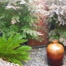 Get service for Garden design in Perth