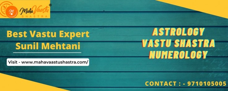  The famous Vastu Expert In Delhi