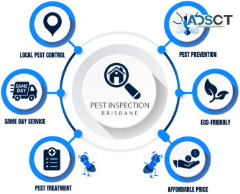 Pest Control Brisbane
