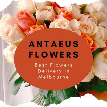 Quick Flower Delivery In Melbourne