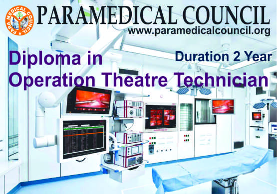 What is paramedical council?