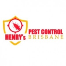Local Pest Control Brisbane