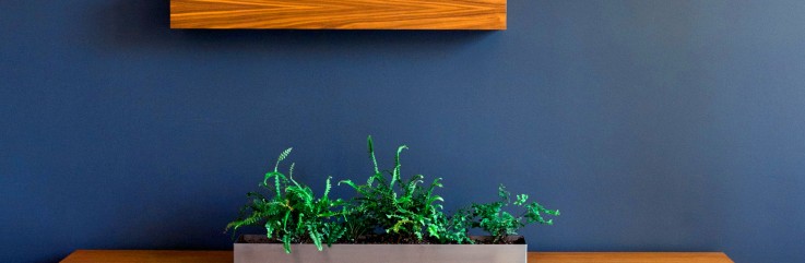 House Painters in Sydney