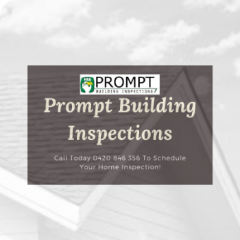 Insightful Timber Pest Inspection Perth