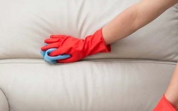 Fabric Couch Cleaning Sunshine Coast | Sofa Steam Cleaning Service | Bright Couch Cleaning Sunshine 